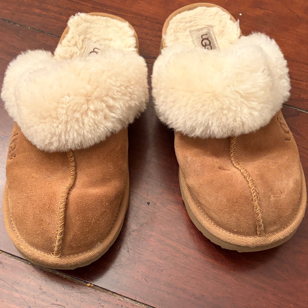UGG Chestnut Suede Slippers with Plush Lining